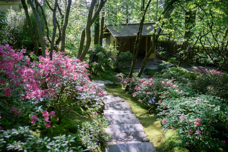 Concrete stairs leading into a garden of flowers and green foilage with a house like structure in the background.