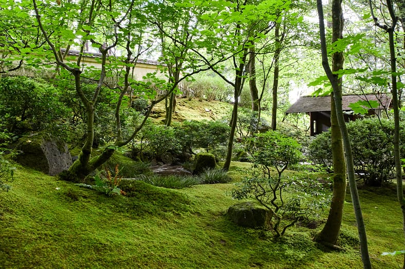 日本の庭 AN APPROACH TO NATURE A Walk Through the Natural Garden – Portland Japanese Garden