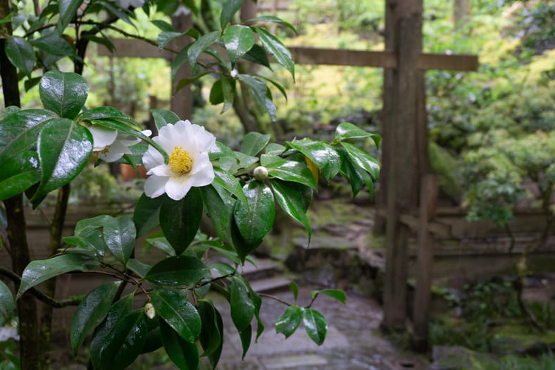 日本の庭 AN APPROACH TO NATURE The Zoki no Niwa of Portland Japanese Garden: A Uniquely