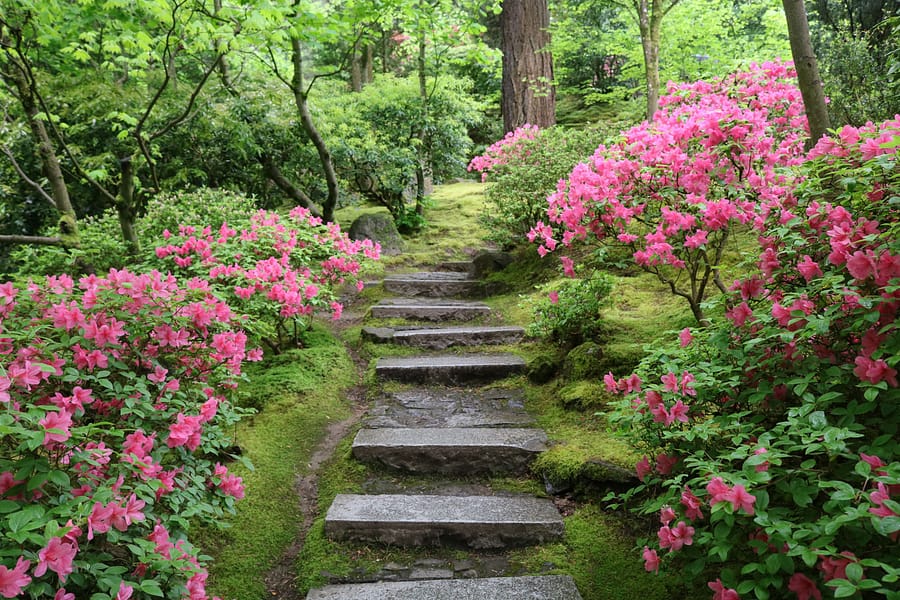 日本の庭 AN APPROACH TO NATURE Pro.58 - Final) 3 Years in the Making: Completing the Giant