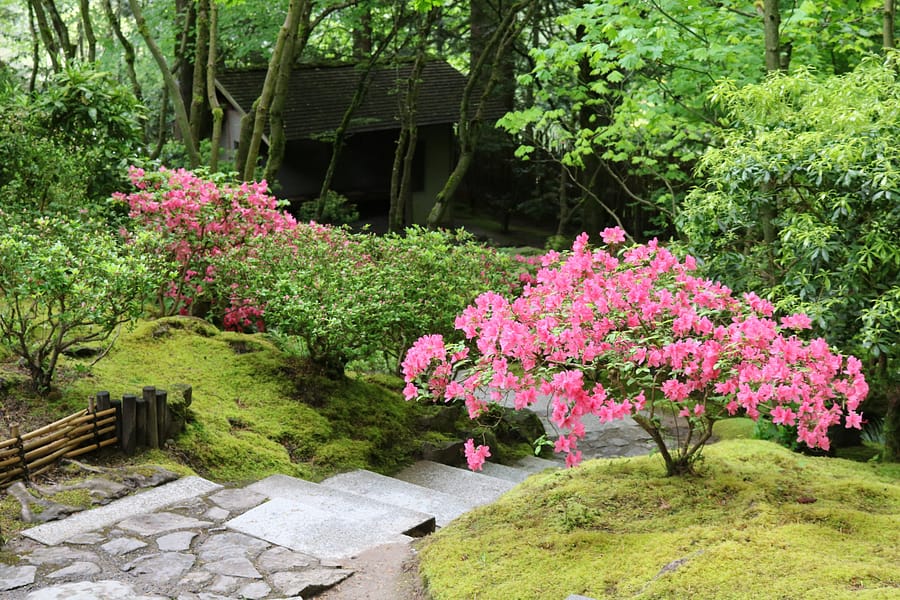 日本の庭 AN APPROACH TO NATURE Gardens and Japan: discovering the origins and the nature