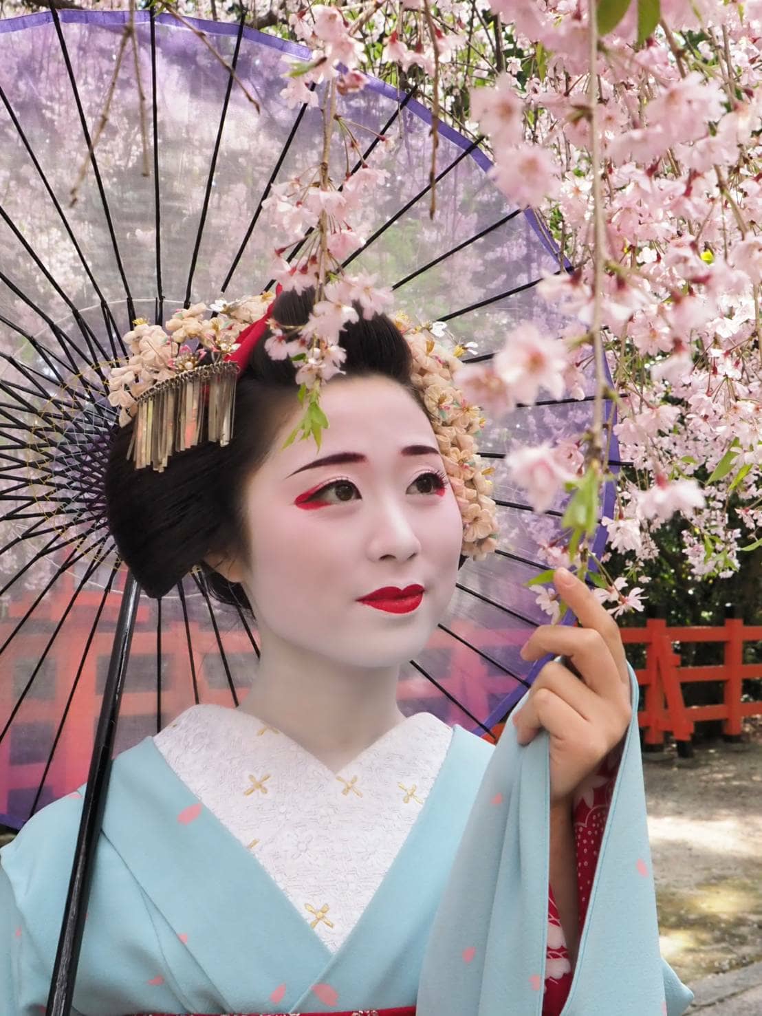 Geisha Geisha