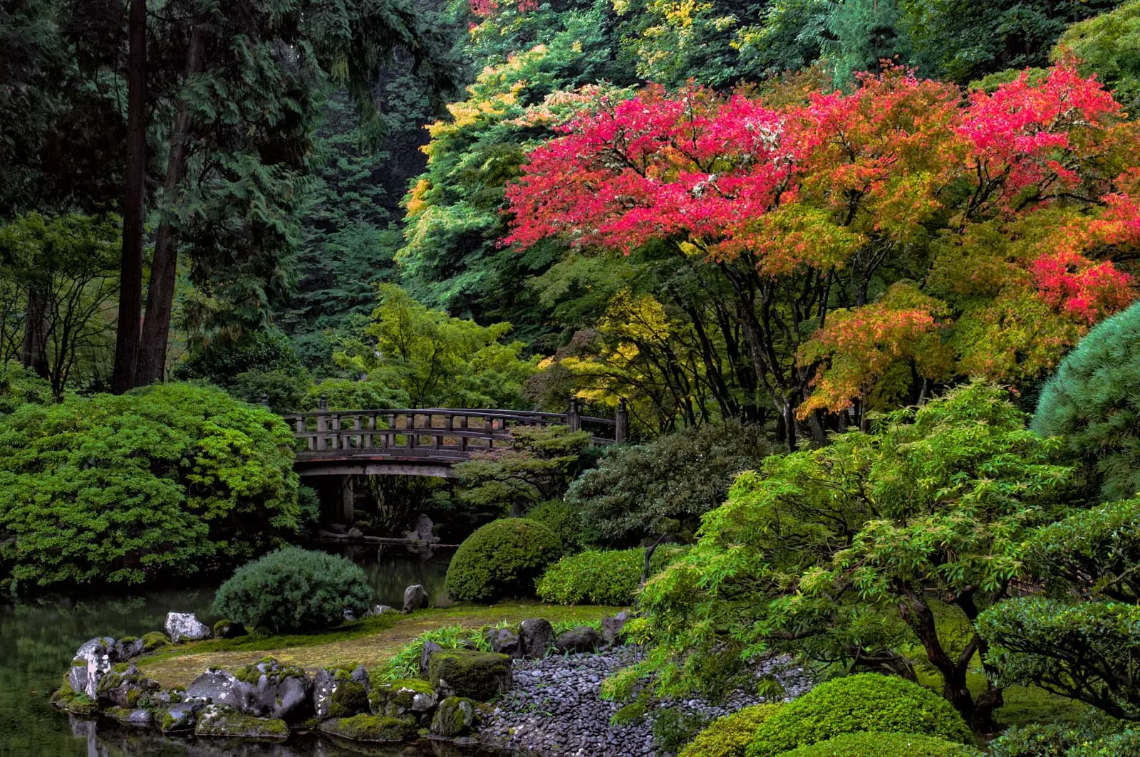 Japanese Gardens 日本庭園 | A peaceful stairway winds