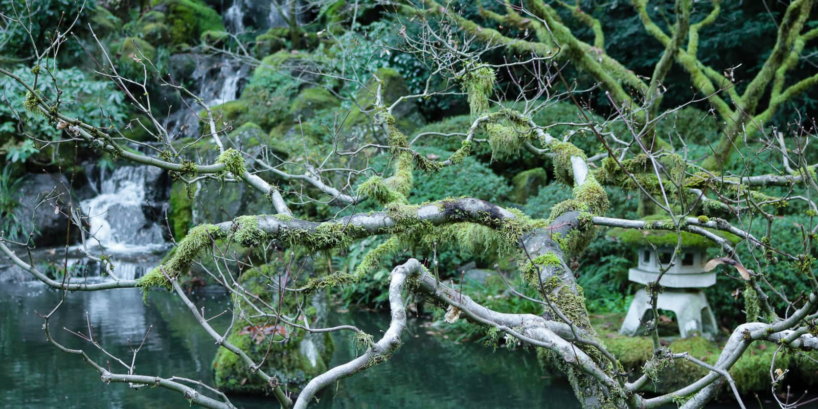 LR_Julia Taylor_Portland Japanese Garden_Dec 2017_IMG_2476