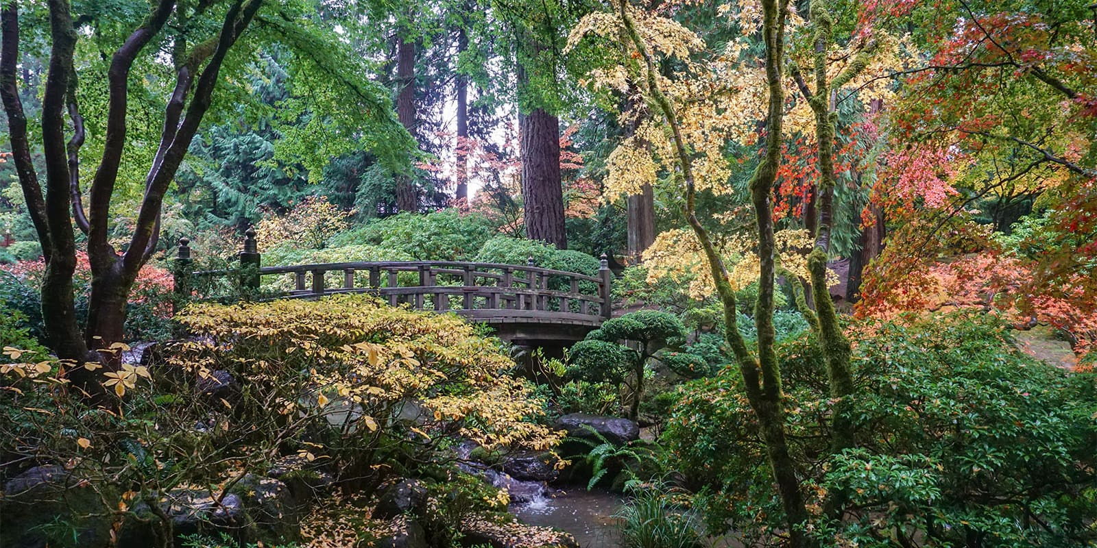 Peak Color Portland Japanese Garden. Photo by Tyler Quinn - 2018-10-29 - DSC01504_low