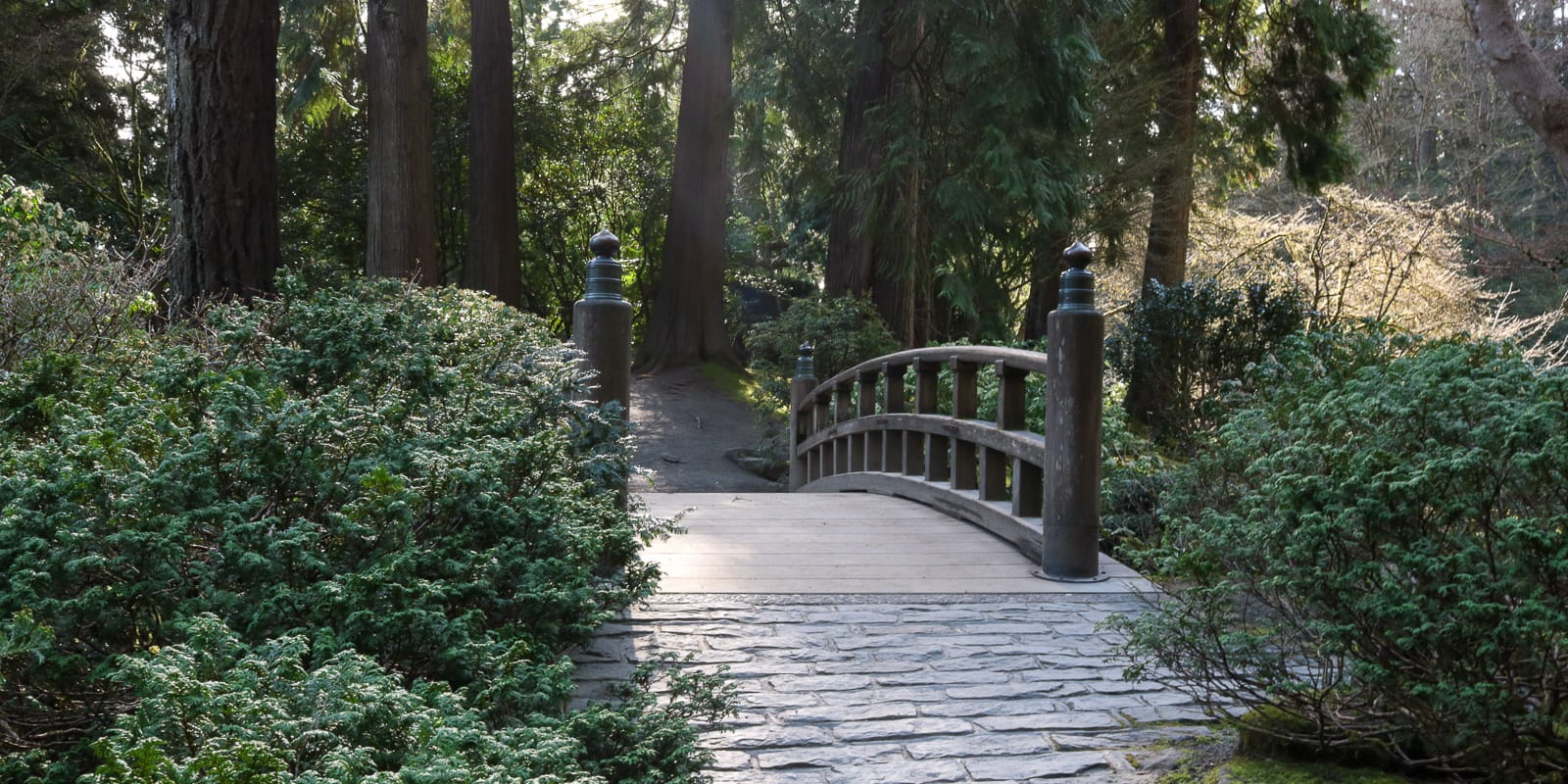 Julia Taylor_LR_Portland Japanese Garden_March 2018_IMG_3861