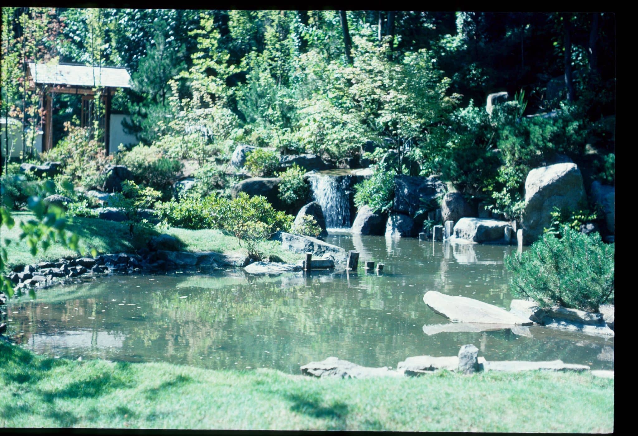 A photo from the 1970s of a pond and gate.