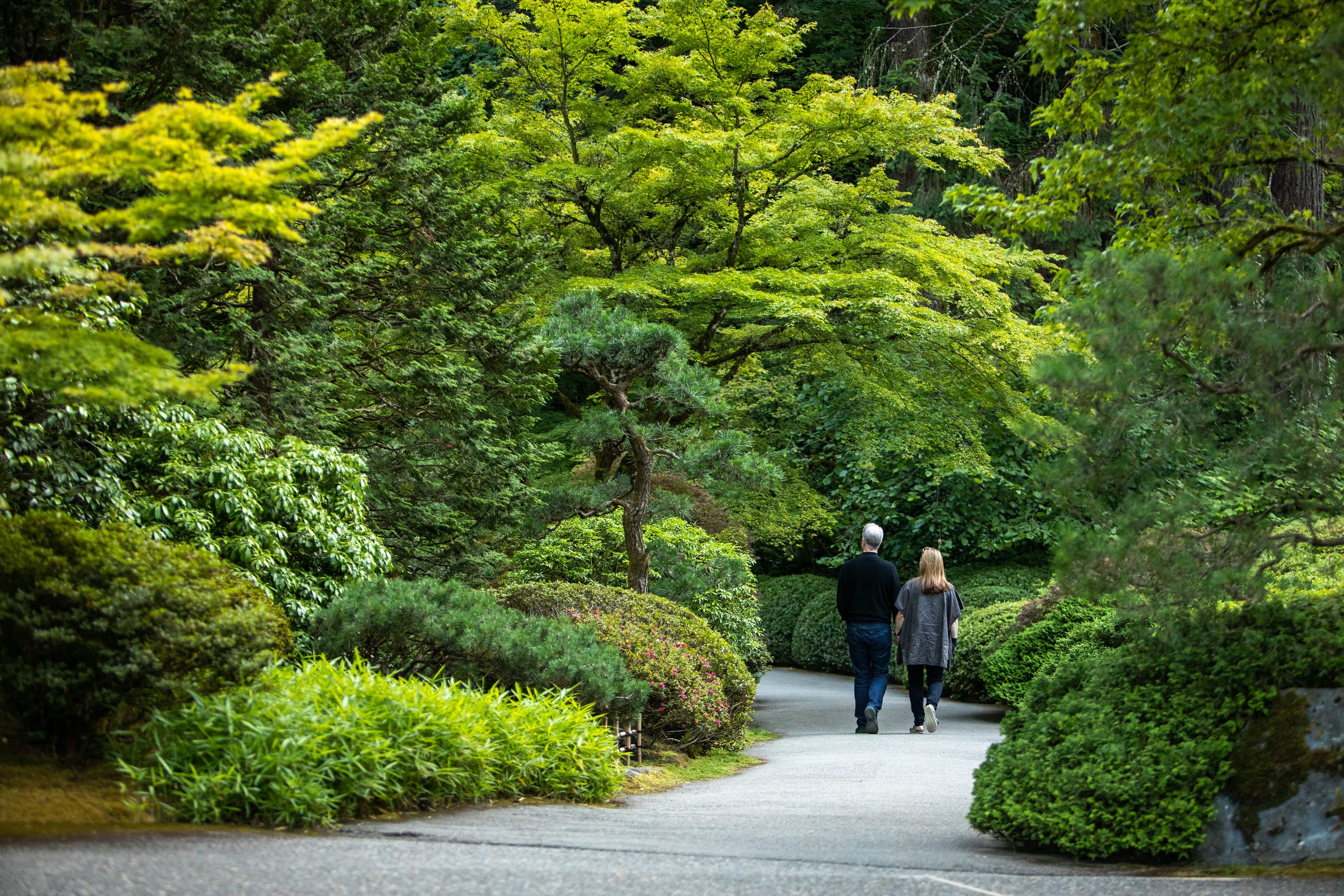 Couple sitting on a bench in the midst of the Japanese Garden