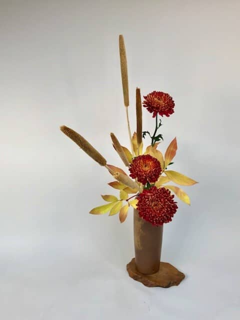 Upright flower arrangement with round, red chrysanthemum flowers and cat tail/millet brown strands in a ceramic vase on wooden platform