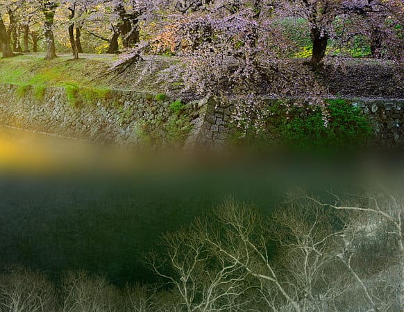 A serene river flowing under a bridge, surrounded by cherry blossom trees and bare trees on the bank