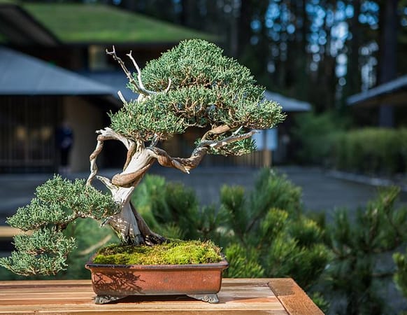 Portland Japanese Garden Portland Japanese Garden