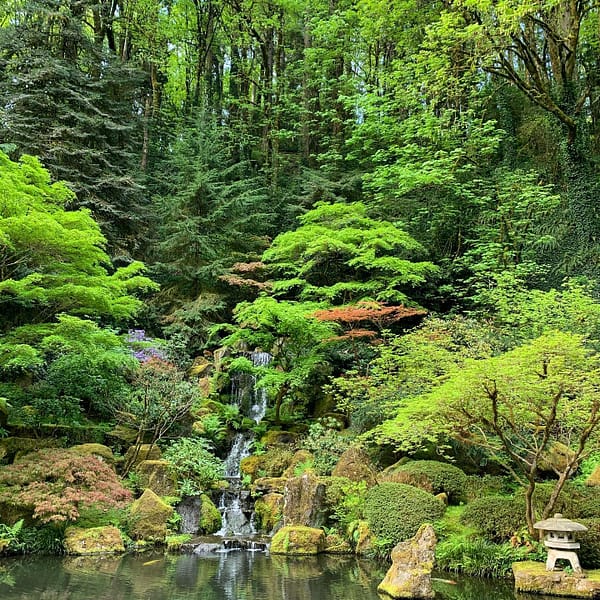 ファッション人気ブランドランキング なぜ、日本庭園はグローバルなのか？」 – Portland Japanese Garden 文学・小説