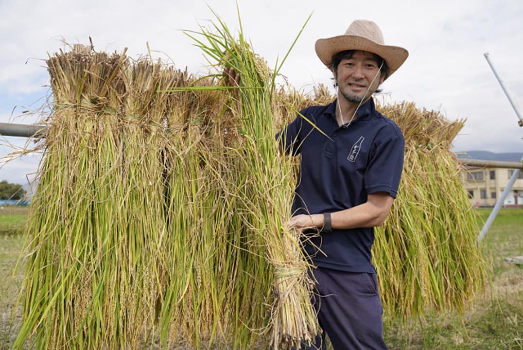 a man in a hat stands with a rice harvest