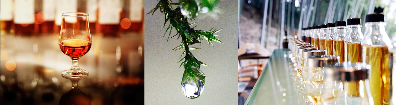 NEW-15_4-banner-image-2-without-title_logos websize