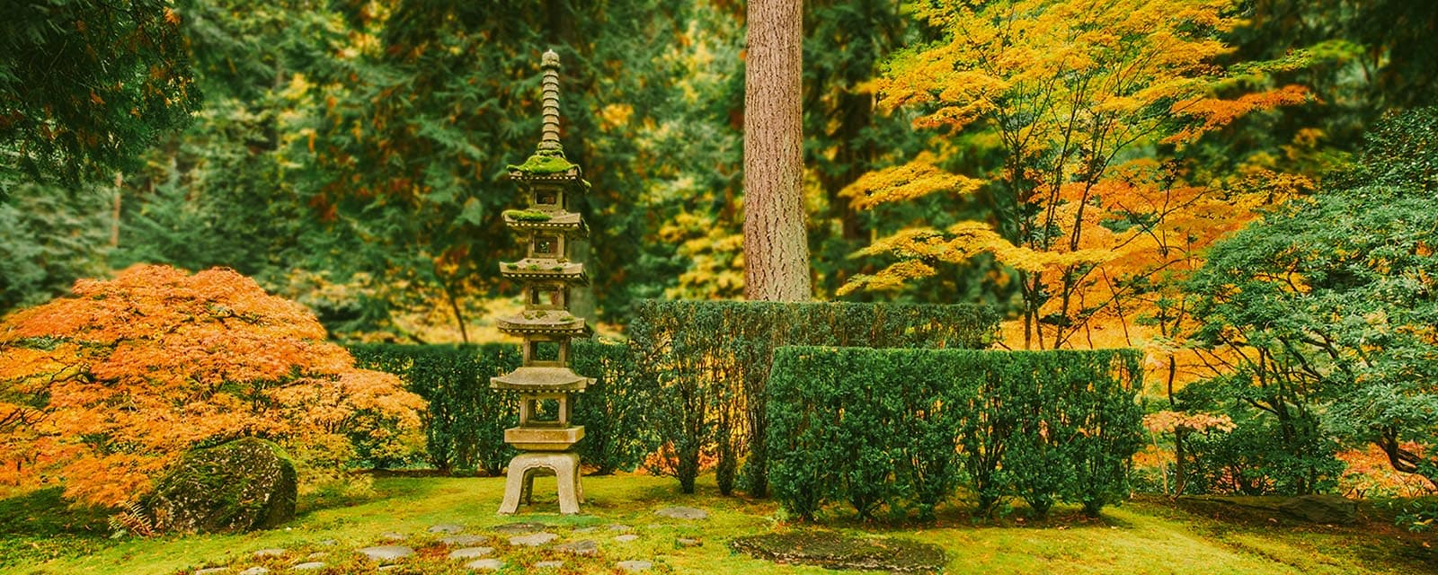 Marketing_HQ-Images_OCT-2025_Sapporo-Lantern_Final134