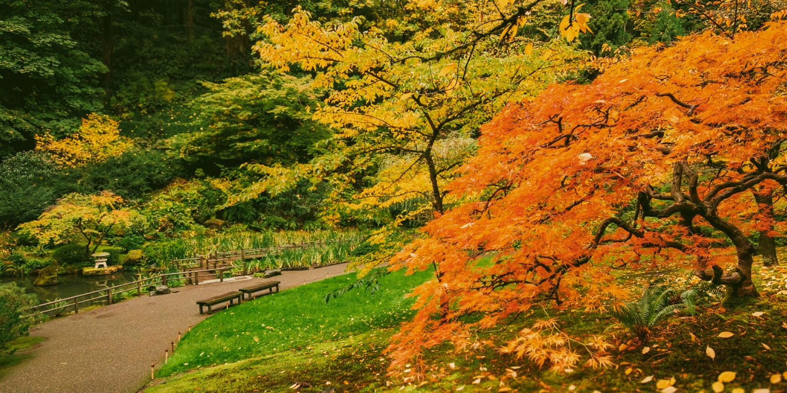 Marketing_HQ-Images_OCT-2025_Lower-Pond-1_Final-2