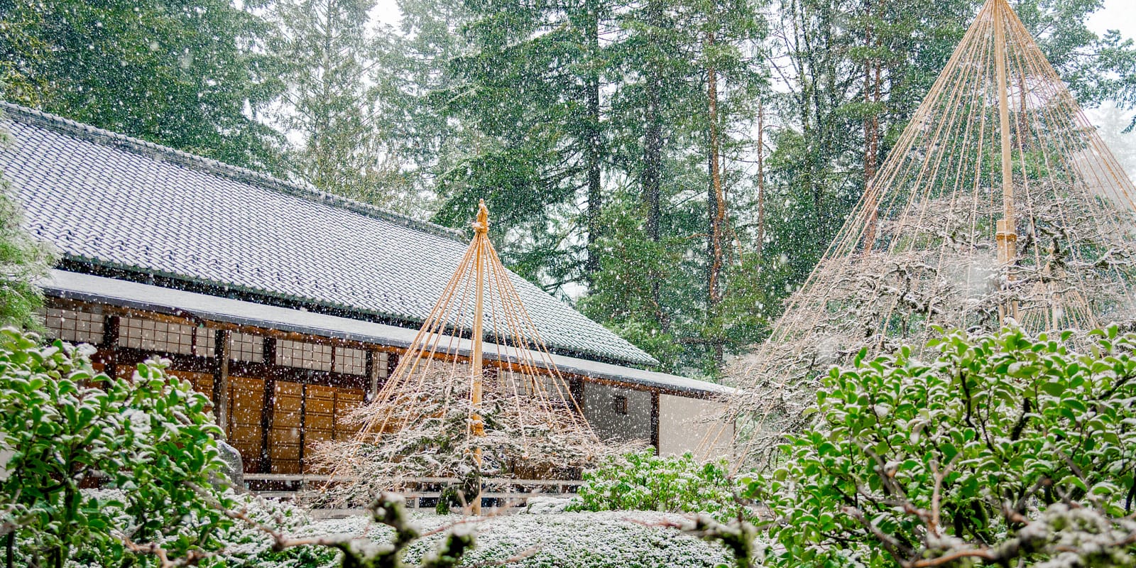 2025_02_05_Winter_PhotoByPJG-55-Edits-R2 (002)