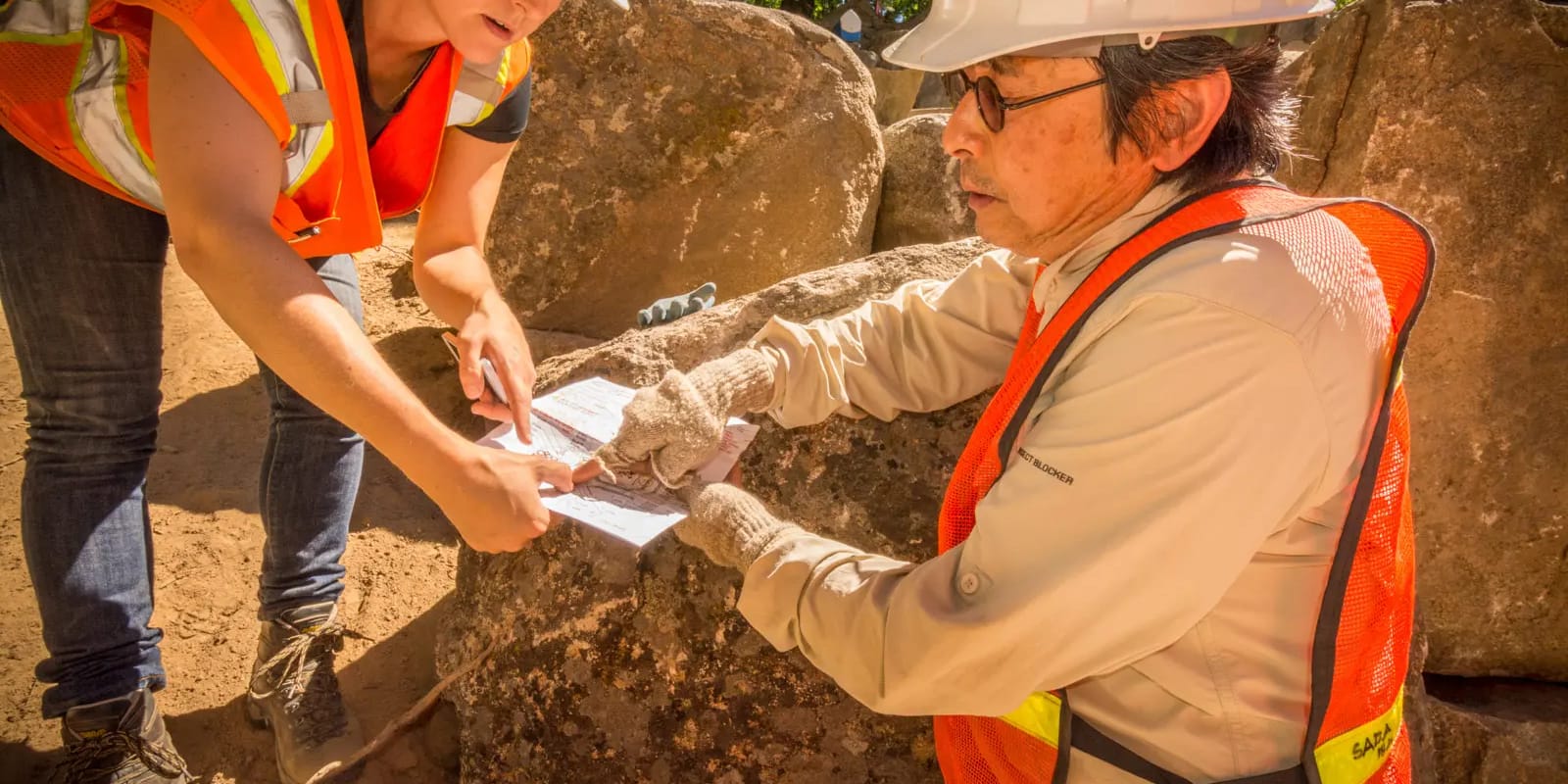 20160728_JapaneseGardenRenovation - 160728 - _ACS2990 (1)