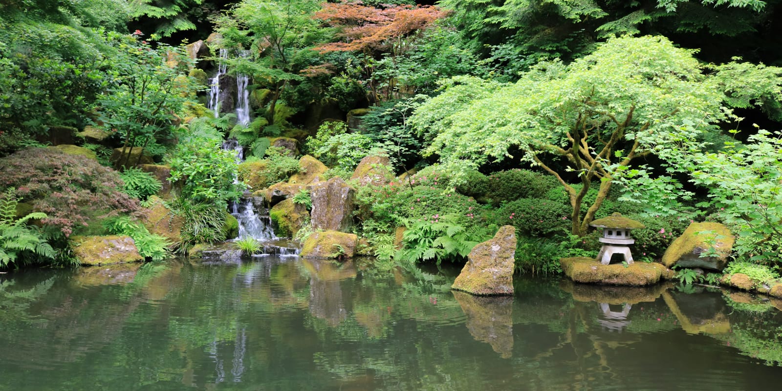 Julia Taylor_June 2017_LowRez_IMG_7371