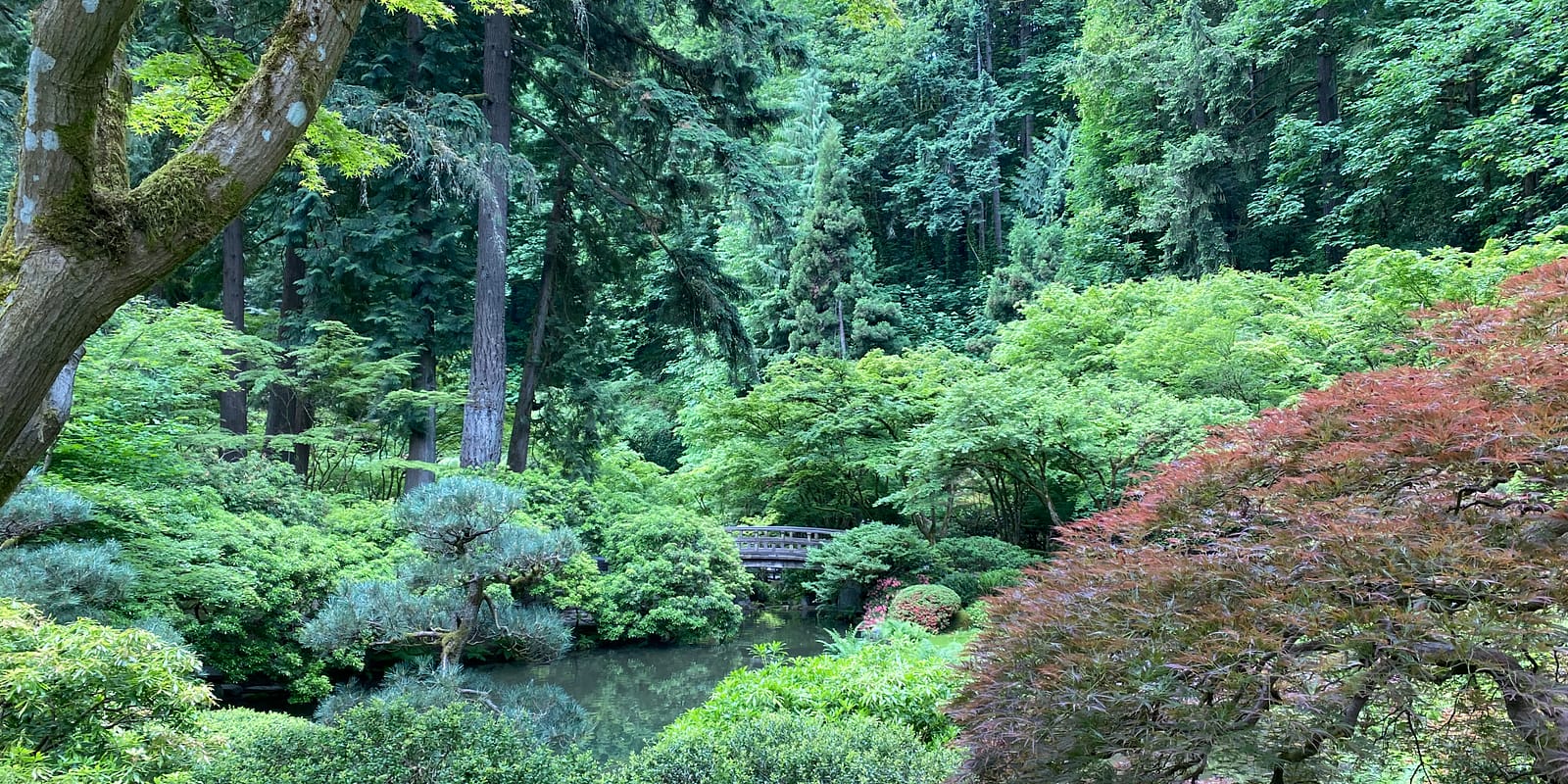 Photo May 28, 8 28 28 AM