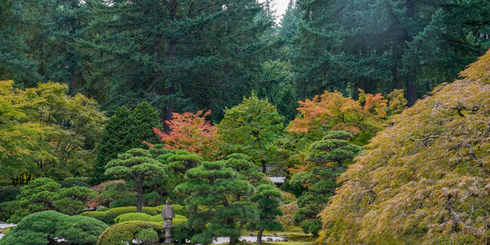 Fall Colors (web)-20191007- by Chris Ruggles-6