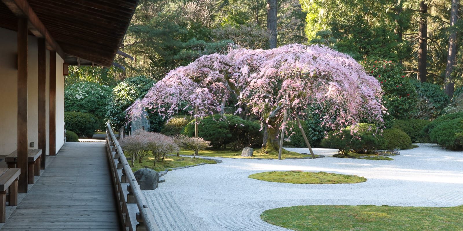 LR_Julia Taylor_Portland Japanese Garden_March 20, 2018_IMG_4283