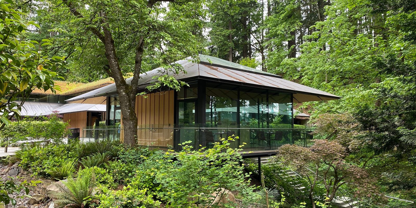 Photo May 28, 9 09 39 AM (1)