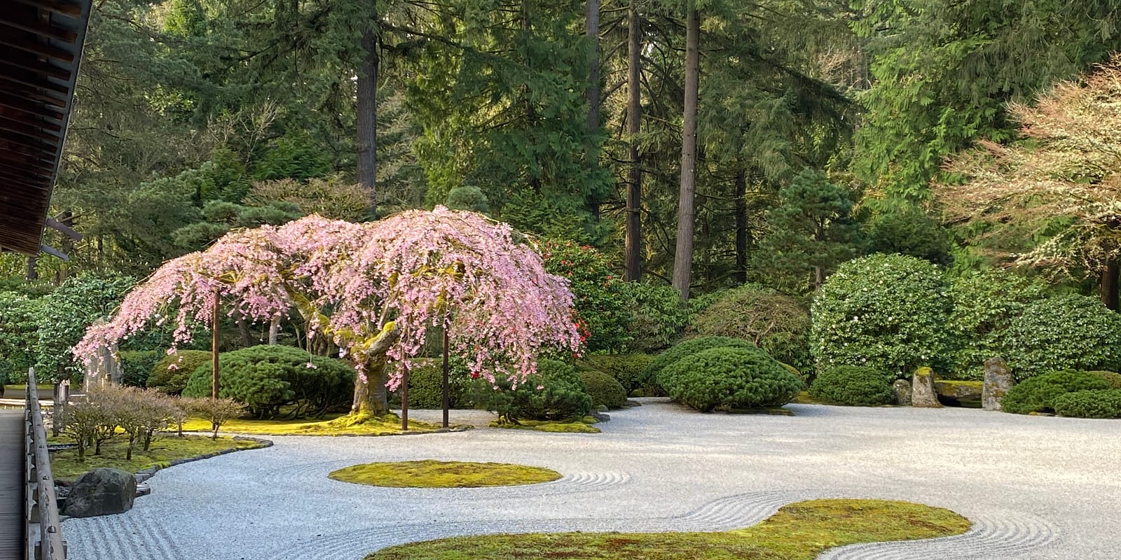 Photo Apr 08, 9 26 30 AM