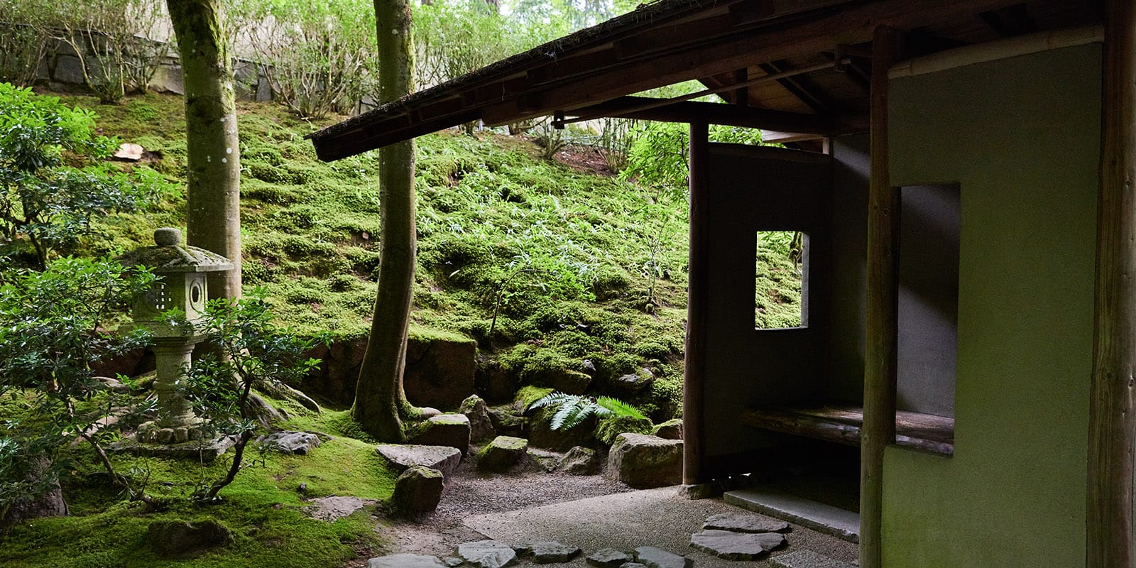 2109.7.8 Web Hero - DinaAvila