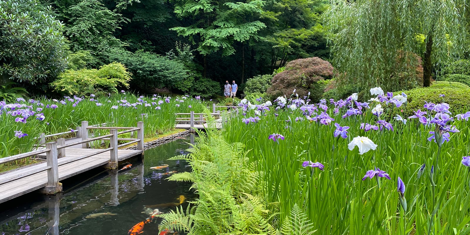 6.25_Koi and Iris_Guests w Masks_PM