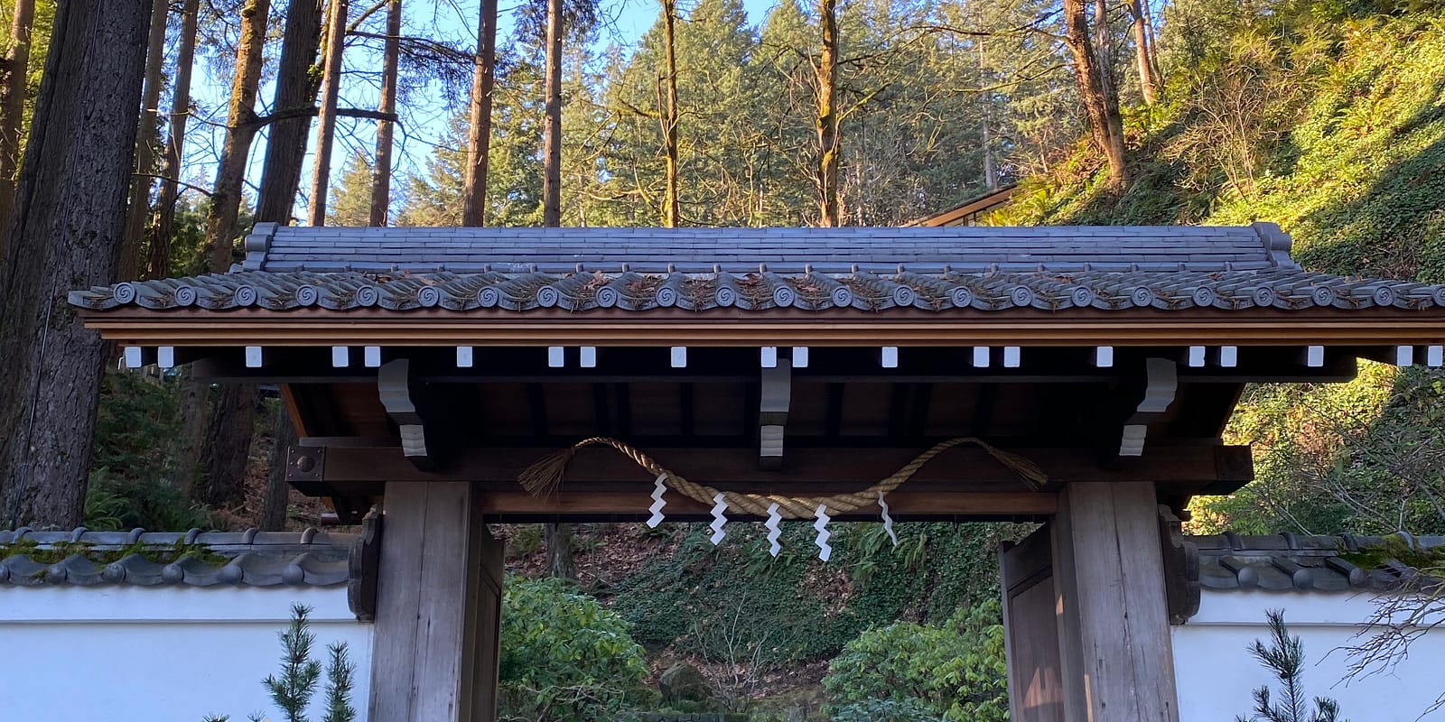 Photo Dec 28, 10 18 07 AM