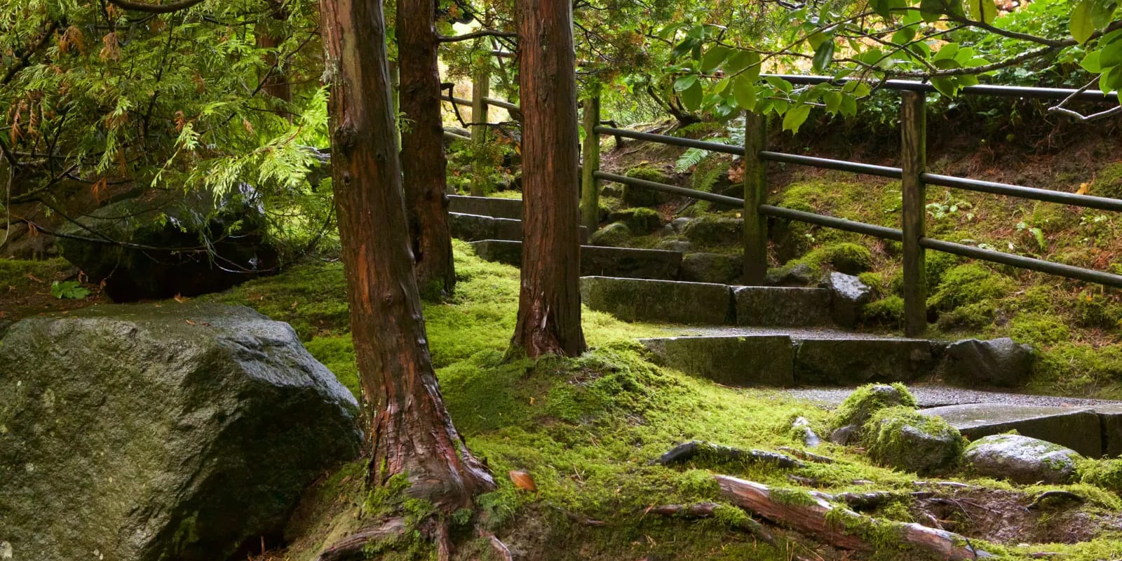 HDSereneScapes Still Photos