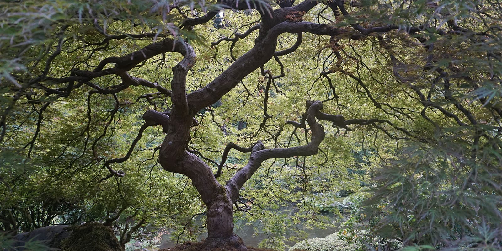 DSC00869_Fall for Web