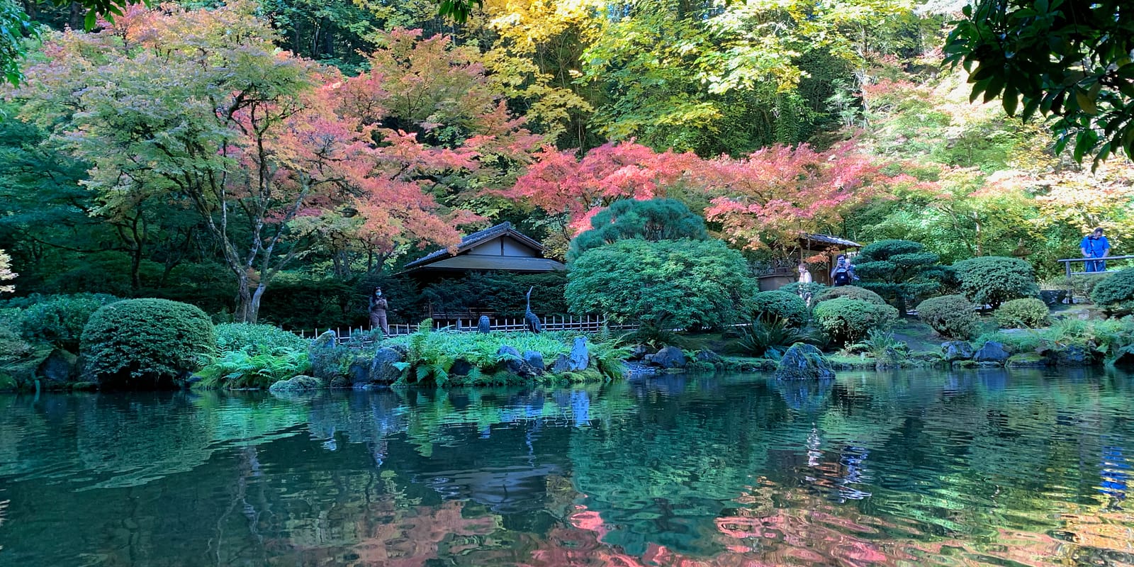 Photo Nov 02, 12 20 51 PM