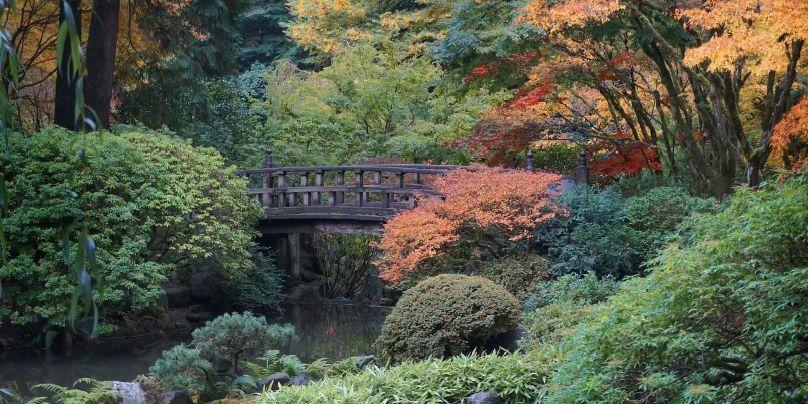 24_Photo by Tyler Quinn