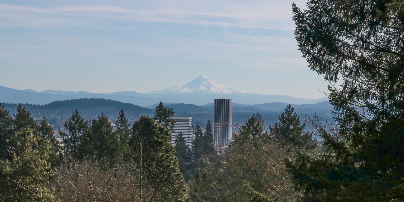 Julia Taylor_LR_Portland Japanese Garden_March 2018_IMG_4038