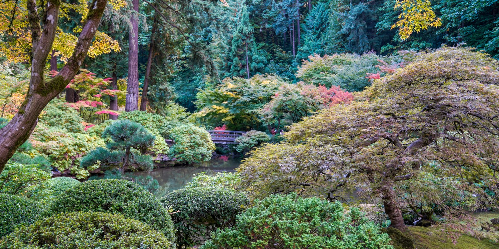 Fall Colors (web)-20191007- by Chris Ruggles-2