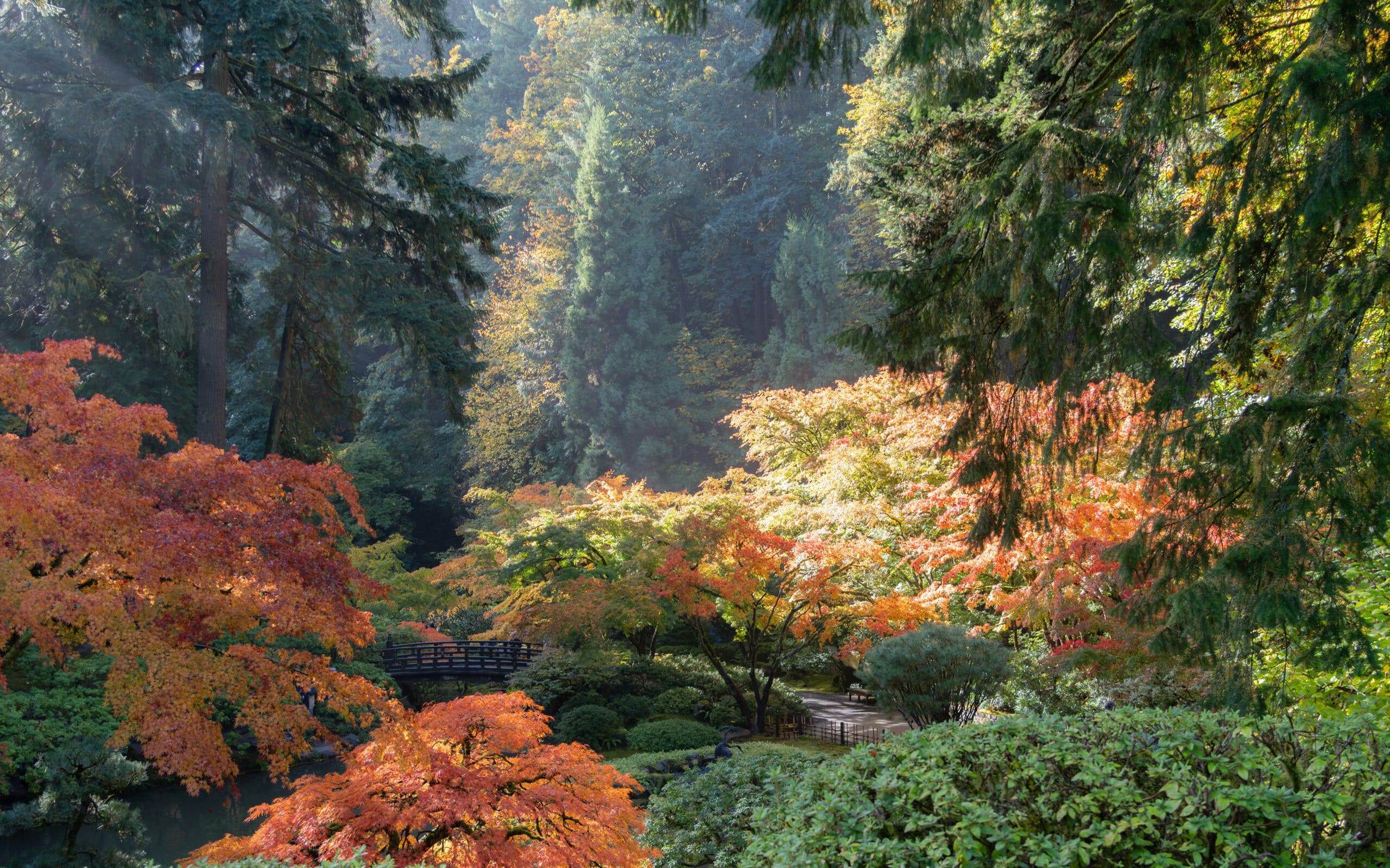 2025_10_29_Fall_PhotoByPJG-29-