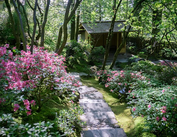 Concrete stairs leading into a garden of flowers and green foilage with a house like structure in the background.