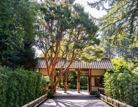 a wooden gate with a large red pine in front