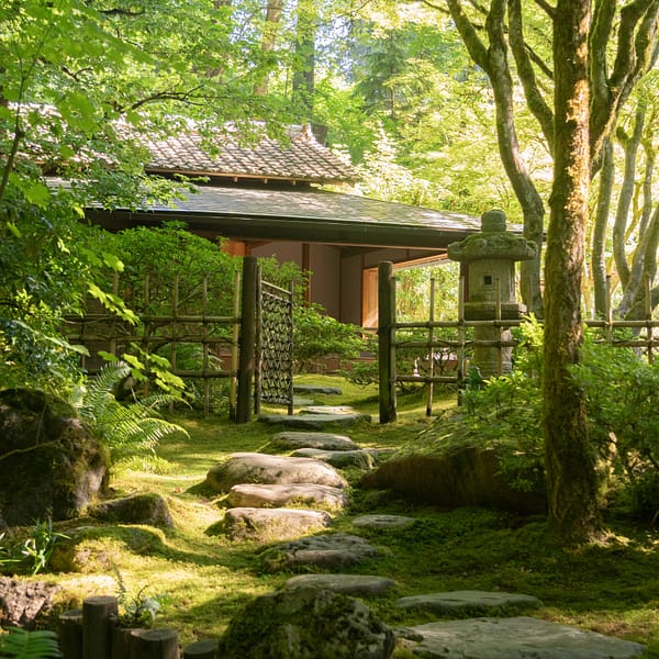 tea house in forested landscape
