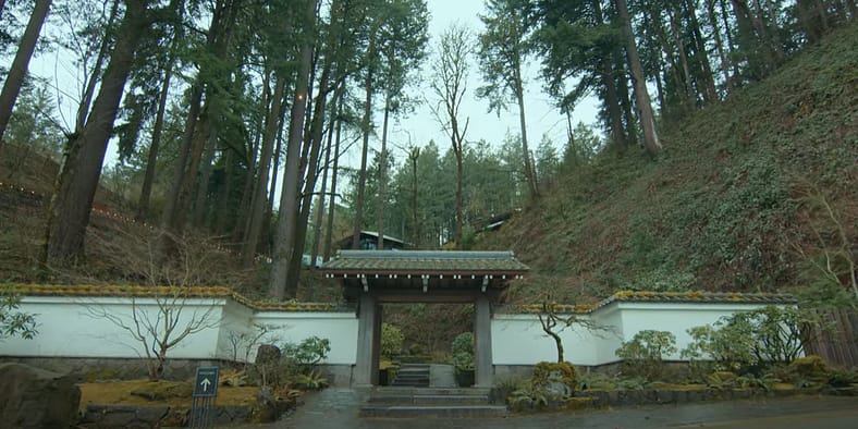 【橋本シャーン】Makuhari Gardenwalk 橋本シャーン】Makuhari Gardenwalk Spring Cleaning: The Metal Roofs