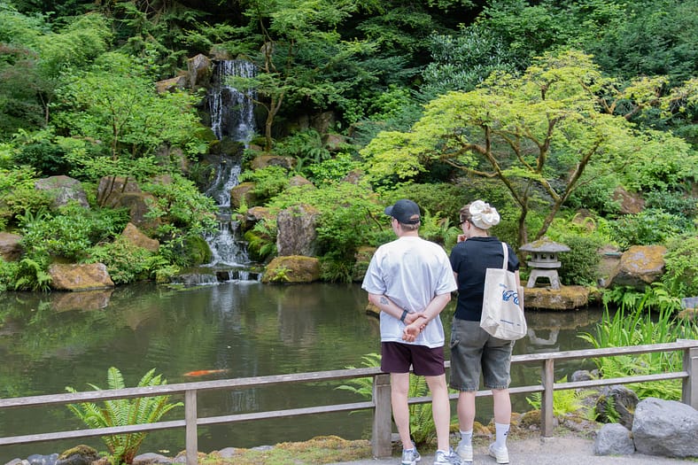 two people gazing at a waterfall