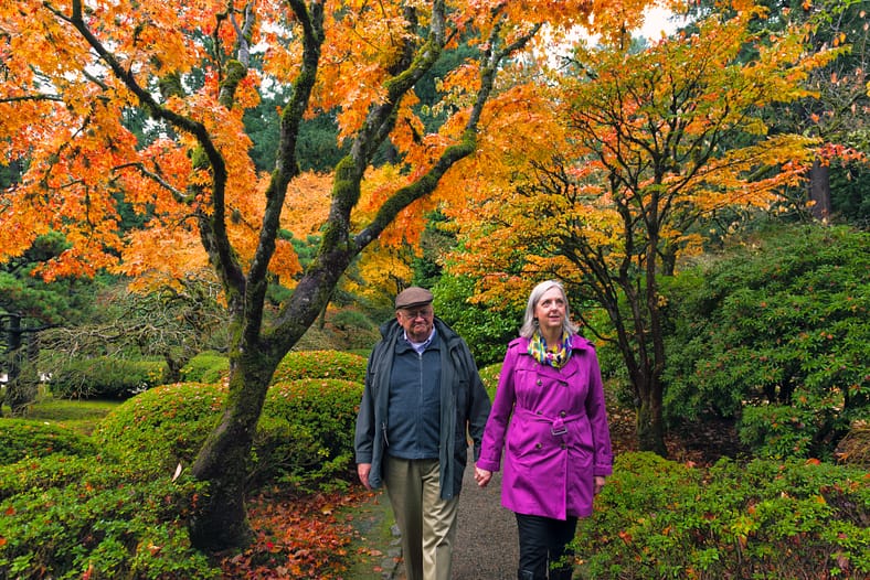 An elderly couple walking underneath trees with fall colors in Portland Japanese Garden