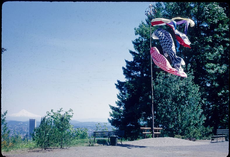 Cloth carp streamers flap in the breeze, Mt. Hood is seen in the distance.