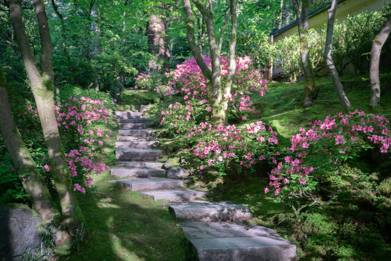 The Zoki no Niwa of Portland Japanese Garden: A Uniquely Natural