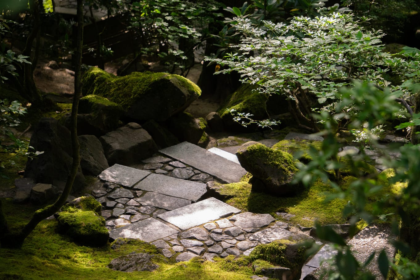 The Zoki no Niwa of Portland Japanese Garden: A Uniquely Natural