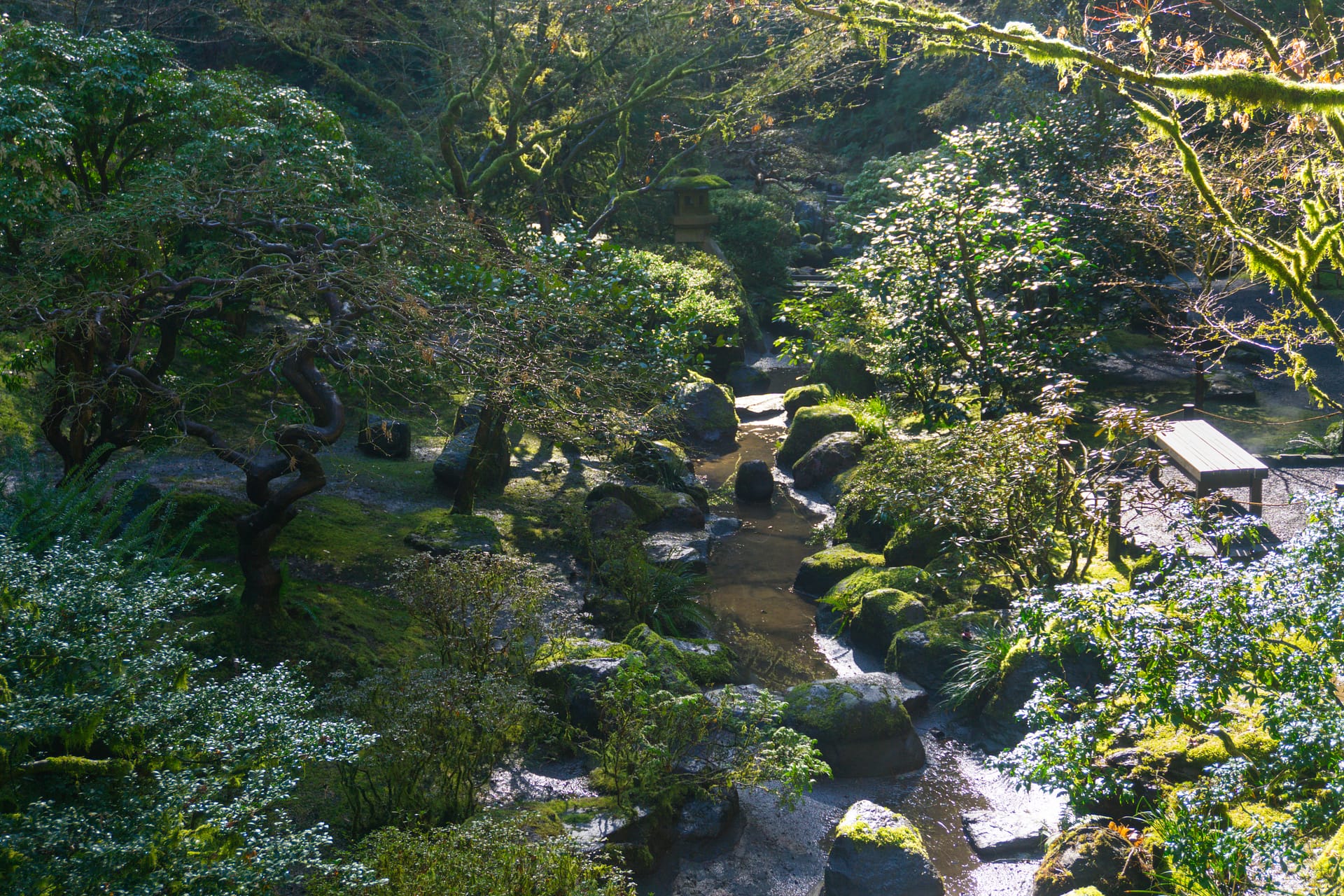 A stream bed is shown as flowing water has been stopped while repairs are made in a pond north of it.