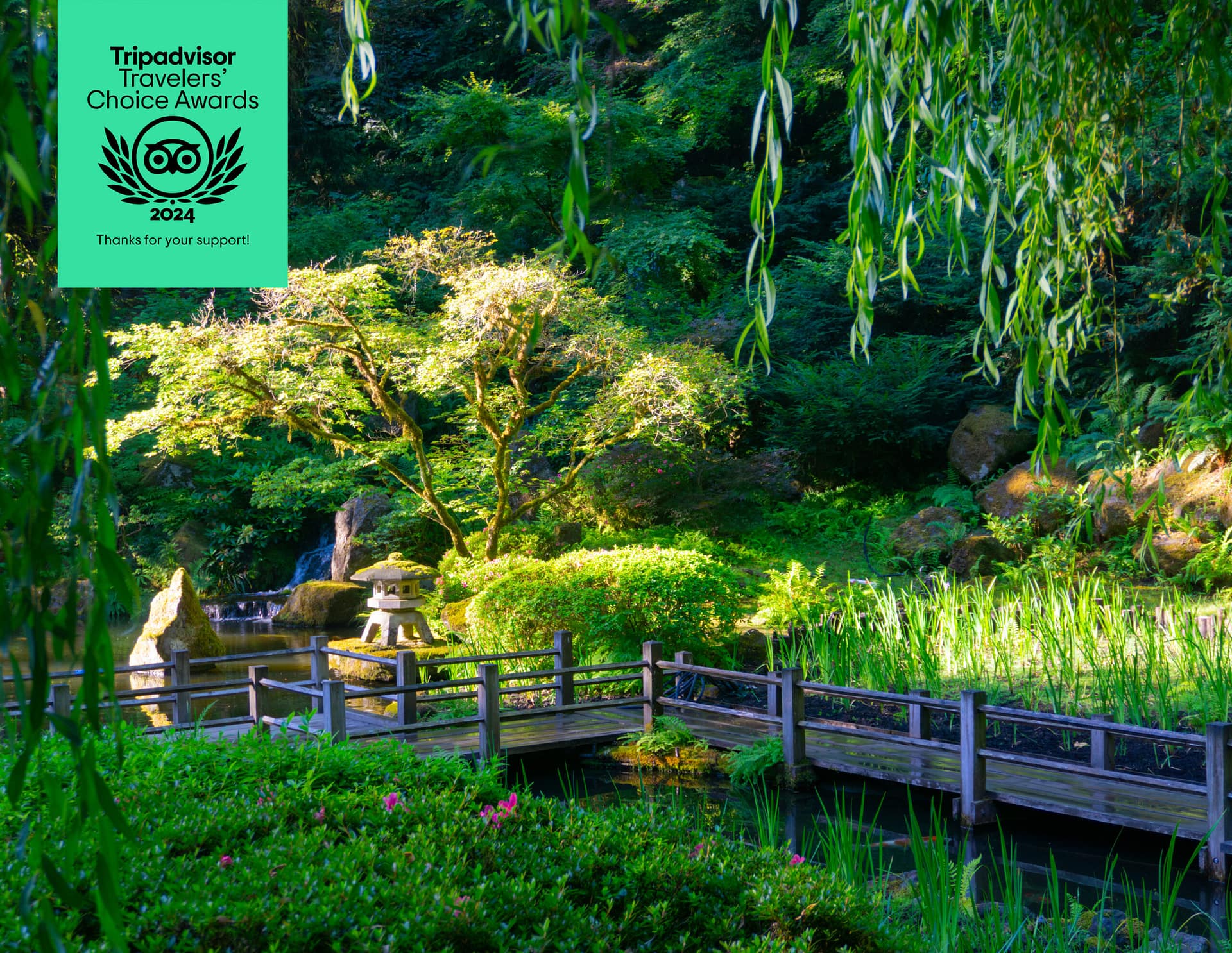 a wooden pathway through koi pond with the logo for Tripadvisor Travelers' Choice Awards in the top left corner