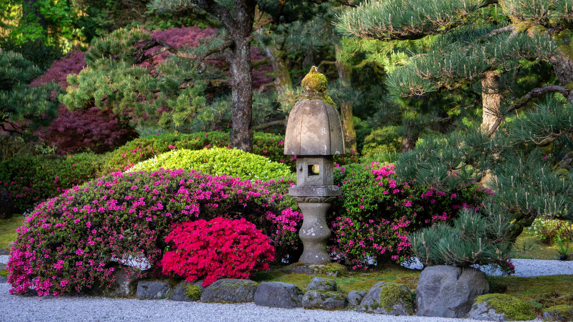a stone lantern next to flowers